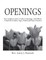 Openings Leader Guide 2/E