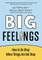 Big Feelings