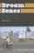 Dream Zones: Anticipating Capitalism and Development in India