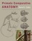 Primate Comparative Anatomy