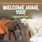 Welcome Home, You! Habitats for Kids Homes for Animals Grade 3 Children's Environment Books