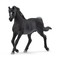 SCHLEICH HORSE CLUB Arābu šķirnes ērzelis