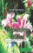 Blooming Lilies