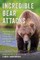 When Bears Attack