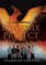 Phoenix Project
