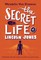 The Secret Life of Lincoln Jones
