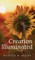 Creation Illuminated