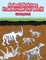 Animal Skeletons from Around the World Coloring Book