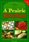 A Prairie Kitchen