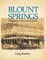 Blount Springs