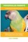 Poicephalus Parrots