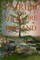 Fairies and Folk of Ireland
