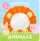 Mirror Me: Animals