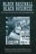 Black Baseball, Black Business