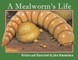 A Mealworm's Life