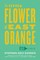 The Little Flower of East Orange