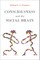 Consciousness and the Social Brain
