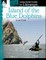 Island of the Blue Dolphins: An Instructional Guide for Literature