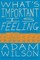 What's Important Is Feeling