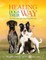 Healing Dogs Their Way
