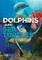 Dolphins and Sea Turtles