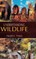 Understanding Wildlife
