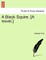 A Black Squire. [A Novel.]