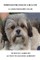 Through the Eyes of a Hua Tzu