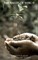 The value of soil - 1