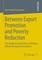 Between Export Promotion and Poverty Reduction