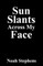 Sun Slants Across My Face