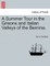 A Summer Tour in the Grisons and Italian Valleys of the Bernina.
