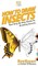 How To Draw Insects