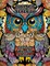 Owls of Serenity