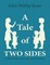 A Tale of Two Sides: A Novel On Vaccines and Disease