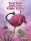 Ellie Emu and Her Pink Tutu