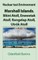 Nuclear test Environment