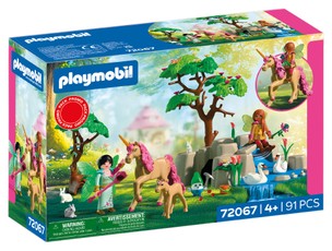 PLAYMOBIL Fairies´ Day Trip 72067