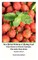 Best Herbal Medicine and Healing Food From Nature to Prevent Insomnia Plus Make Sleep Better English Edition