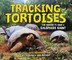 Tracking Tortoises