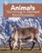Animals Surviving in Extreme Environments