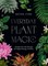 Everyday Plant Magic