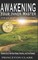 Awakening Your Inner Master