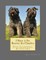 I Want A Pet Bouvier des Flandres
