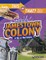 Living in the Jamestown Colony