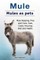 Mule. Mules as pets. Mule Keeping, Pros and Cons, Care, Costs, Housing, Diet and Health.
