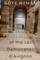 Perceptions of the Les Demoiselles d'Avignon