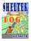 Shelter Dog