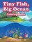 Tiny Fish, Big Ocean Coloring Book