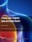 A Practical Guide to Respiratory System and its Related Disorders